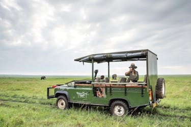 Masai Mara safari de 2 días en Governors Camp